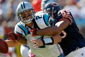 Osos da cátedra defensiva y aplasta a Carolina