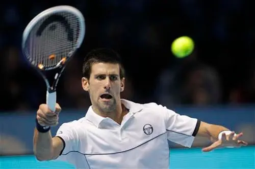 Djokovic impone marca de ingresos en 2011
