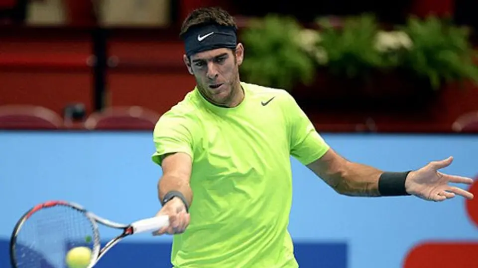 Del Potro se cuelga su tercer título de la temporada
