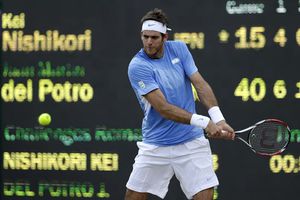 Juan Martín del Potro se cuela a las semifinales del tenis varonil