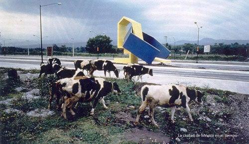 PERIFÉRICO SUR Postal de1968, cerca de la actual estación Periférico | CORTESÍA LA CIUDAD DE MÉXICO EN EL TIEMPO