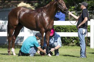 Gutiérrez se despide de la Triple Corona