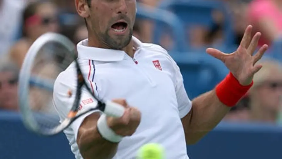 Divac se desdice de las declaraciones sobre Nole'