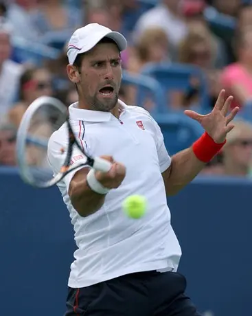 Divac se desdice de las declaraciones sobre Nole'