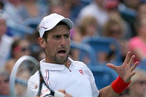 Divac se desdice de las declaraciones sobre Nole'