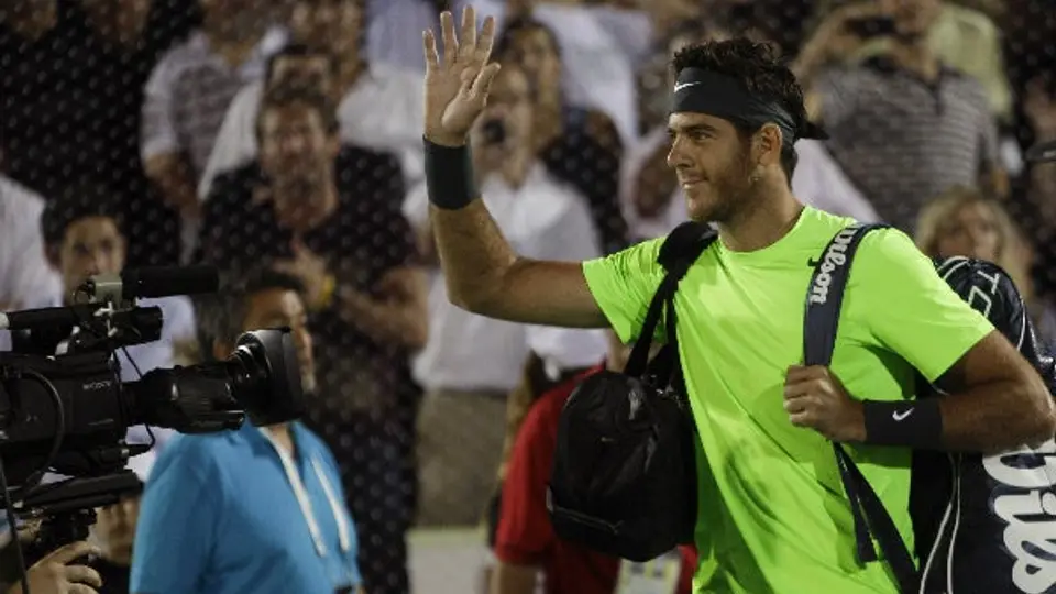 Del Potro, baja de Argentina para Copa Davis