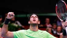 Del Potro se corona en Viena y se acerca a la Copa Masters