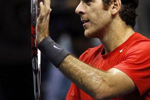 Del Potro no irá al Masters de París