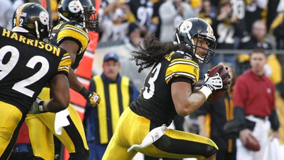 Polamalu ha mentido sobre lesiones
