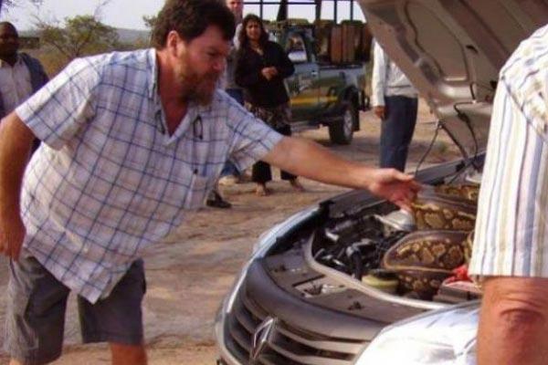 Los ingleses no podían encender su auto gracias a la pitón enroscada en el motor| ESPECIAL