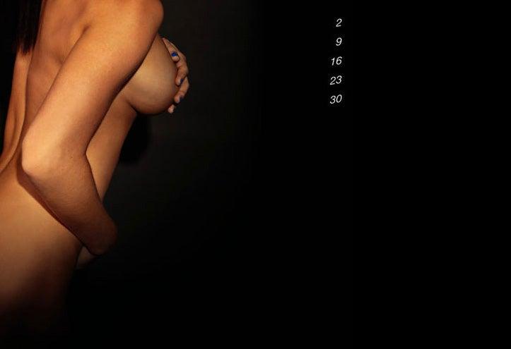 Cada aficionada ilustra un mes del calendario. FOTO: www.nh2010.pl