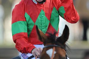 Jockey irlandés gana siete carreras en un sólo día