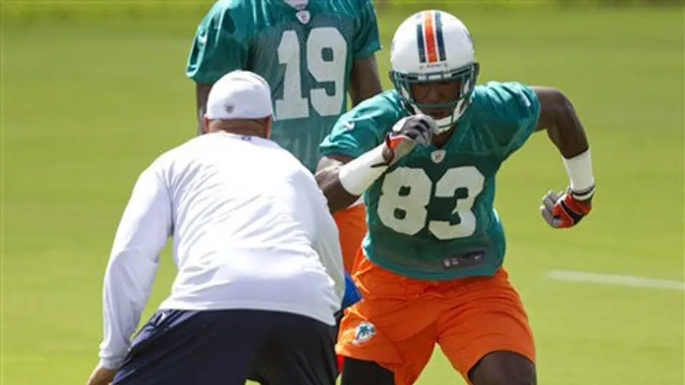 Podrían cambiar los colores de los Miami Dolphins