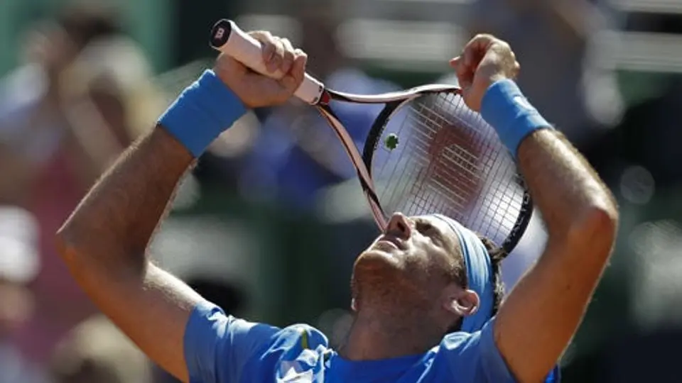 Del Potro da el primer punto a Argentina en Copa Davis