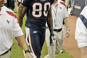 Johnson, baja ante Panteras