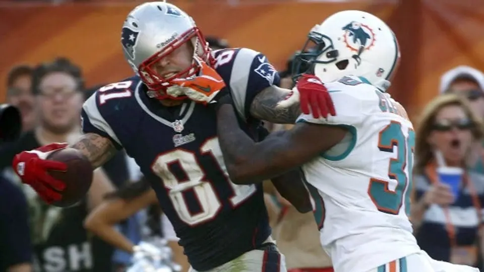 ?Patriotas se proclaman campeones divisionales