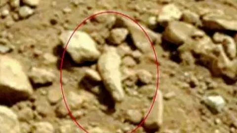 Polémica por un supuesto dedo fosilizado en Marte