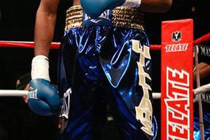 Canelo dedicará su próxima pelea a Paul Williams