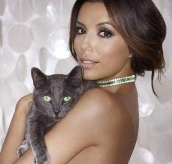 Eva Longoria, super sexy | EFE