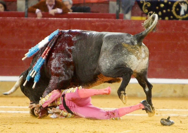 Compartió cartel con Miguel Abellan e Ivan Fandiño con toros de Ana Romero