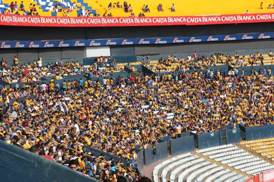 | TIGRES OFICIAL