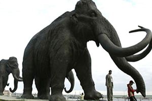 Será subastado el esqueleto completo de un mamut