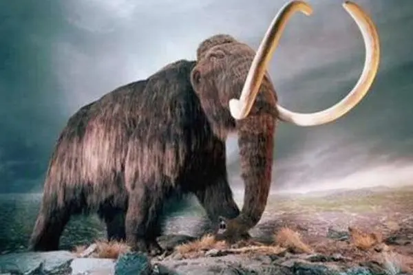 Los restos de un mamut podrían servir para clonarlo
