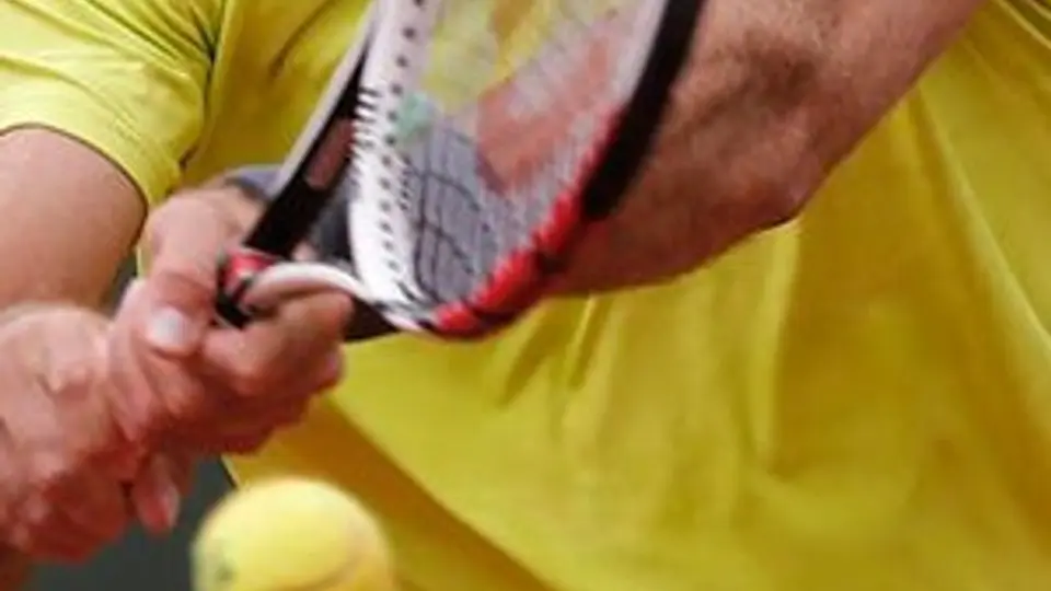 Del Potro y Tsonga ganan duelos suspendidos en Roland Garros