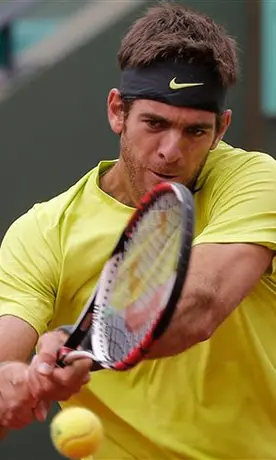 Del Potro y Tsonga ganan duelos suspendidos en Roland Garros