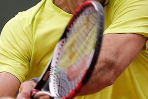 Del Potro y Tsonga ganan duelos suspendidos en Roland Garros