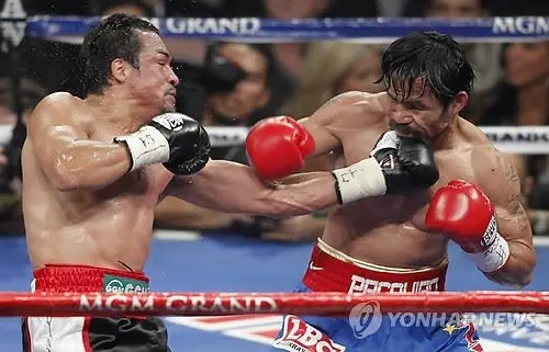 El 2011, un año movidito para el boxeo