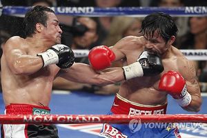 El 2011, un año movidito para el boxeo