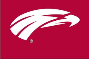 Águilas Blancas cambian de imagen