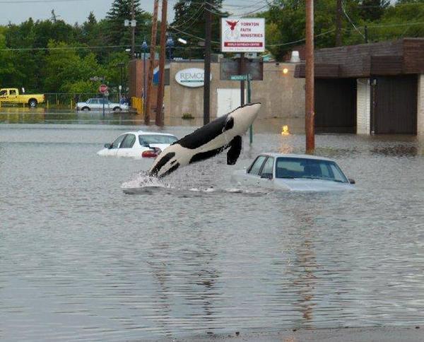 Surge la creatividad ante paso del Huracán Sandy