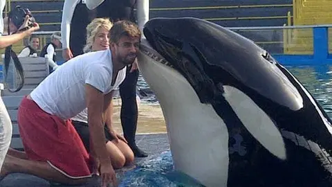 Gerard Piqué se divierte besando a una ballena