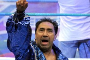 Blue Panther y Felino, a conservar su cabellera