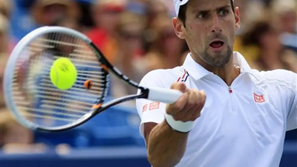 Djokovic se medirá a Del Potro en Semifinales