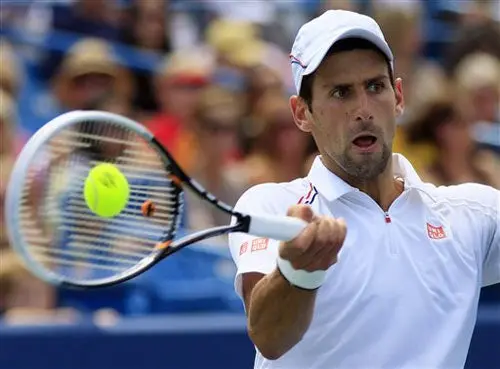Djokovic se medirá a Del Potro en Semifinales