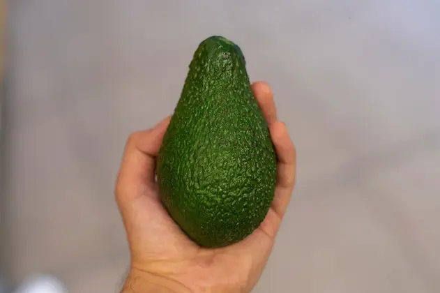 Son miles de toneladas de aguacate que se consumen al año en Estados Unidos / FREEPIK