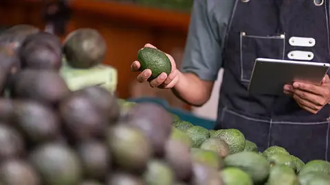 De galán de telenovelas en Televisa a vendedor de aguacates