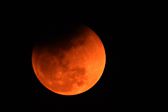Eclipse lunar hoy: así se vio la impresionante Luna de Sangre