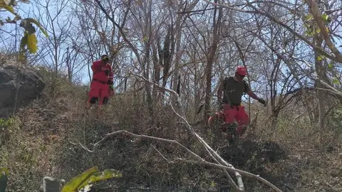Equipos de emergencia trabajan contrarreloj para ubicar al reportero en Sinaloa./ X: @KarenBravoCln