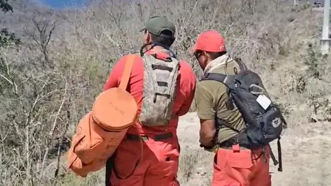 Autoridades desplegaron un operativo de búsqueda en la zona serrana de El Rosario./ X: @MLopezSanMartin