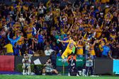 Tigres encuentra el empate al final; Angulo rompe el cero de Whalley