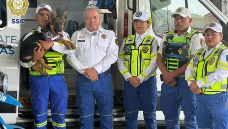 Indara, la pastor alemán que se convertirá en rescatista del ERUM en la Ciudad de México