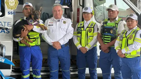 Indara, la pastor alemán que se convertirá en rescatista del ERUM en la Ciudad de México