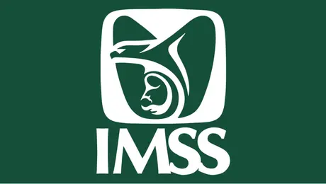 IMSS ha hospitalizado a extranjeros durante el Mundial 2026; van 54 personas que han requerido atención médica
