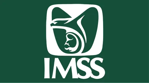IMSS ha hospitalizado a extranjeros durante el Mundial 2026; van 54 personas que han requerido atención médica