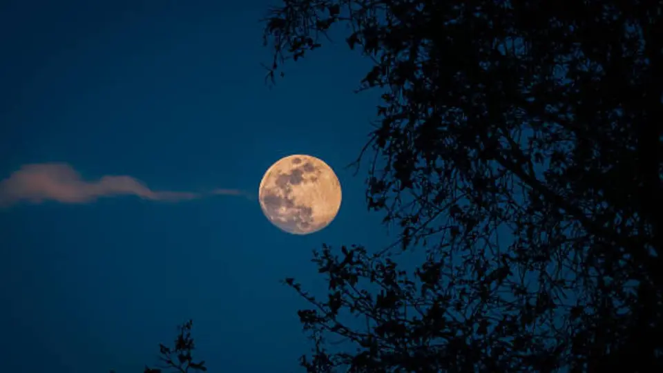El cielo nocturno ofrecerá una serie de espectáculos astronómicos que podrán apreciarse durante distintas fechas del mes. / iStock