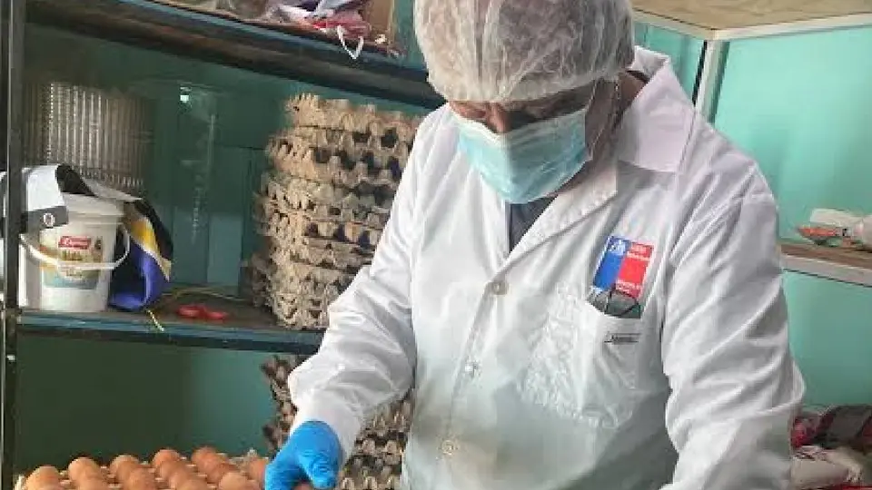 La Secretaría de Salud confirmó la presencia de Salmonella en los alimentos del comedor institucional / Captura de pantalla